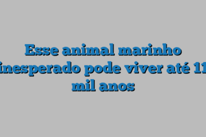 Esse animal marinho inesperado pode viver até 11 mil anos