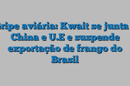 Gripe aviária: Kwait se junta à China e U.E e suspende exportação de frango do Brasil