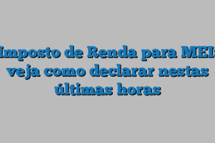 Imposto de Renda para MEI: veja como declarar nestas últimas horas