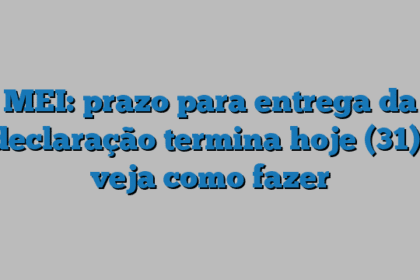 MEI: prazo para entrega da declaração termina hoje (31); veja como fazer