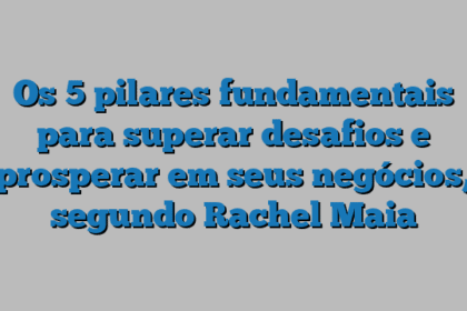 Os 5 pilares fundamentais para superar desafios e prosperar em seus negócios, segundo Rachel Maia