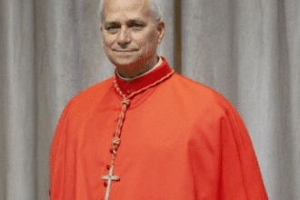 Papa Leão XIV: O Perfil do Novo Pontífice e os Desafios de Seu Papado no Vaticano 4 Papa Leão XIV