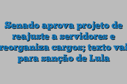 Senado aprova projeto de reajuste a servidores e reorganiza cargos; texto vai para sanção de Lula