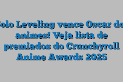 Solo Leveling vence Oscar dos animes! Veja lista de premiados do Crunchyroll Anime Awards 2025