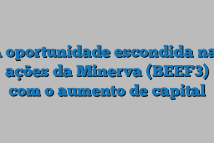 A oportunidade escondida nas ações da Minerva (BEEF3) com o aumento de capital