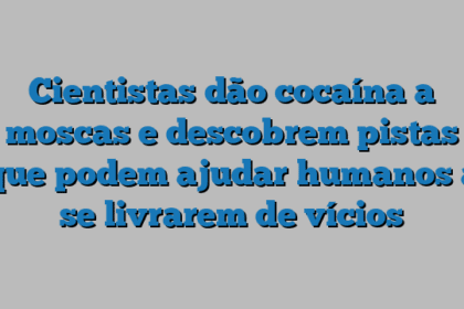 Cientistas dão cocaína a moscas e descobrem pistas que podem ajudar humanos a se livrarem de vícios