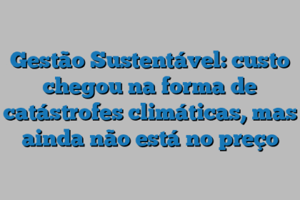 Gestão Sustentável: custo chegou na forma de catástrofes climáticas, mas ainda não está no preço