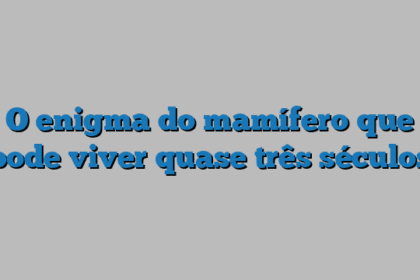 O enigma do mamífero que pode viver quase três séculos