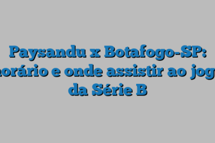 Paysandu x Botafogo-SP: horário e onde assistir ao jogo da Série B