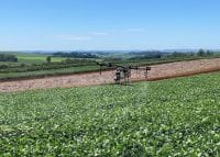 22 de dezembro de 2025 - 11:47