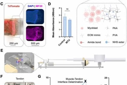 22 de dezembro de 2025 - 11:45