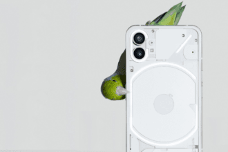 3 de fevereiro de 2026 - 00:49