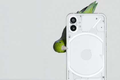 5 de fevereiro de 2026 - 17:25