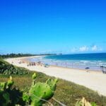 Bahia Se Torna Polo de Carros Elétricos e Impulsiona Economia 2 3 de fevereiro de 2026 - 22:25